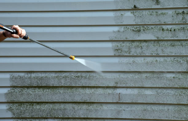 Professional Pressure Washing Services in Winter Springs, FL
